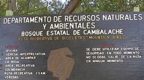 Bosque Cambalache National Park Arecibo 2021 All You Need To Know Before You Go Tours