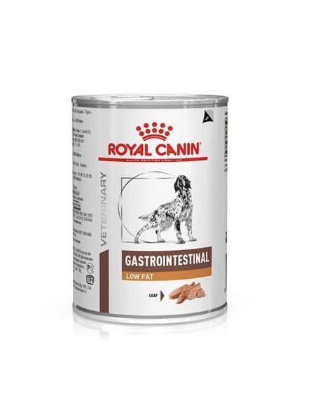 Royal Canin Veterinary Gastrointestinal Loaf X G Hund