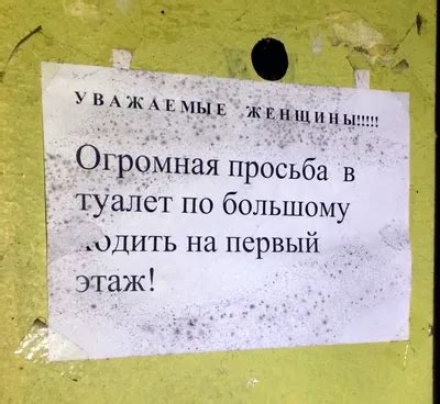 В туалете о соблюдении чистоты (63 картинки)