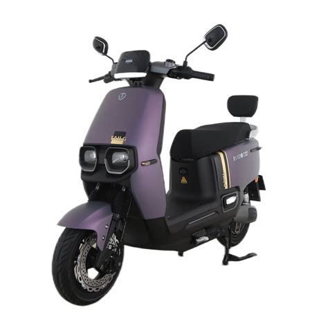 Tailg Chinese Best Supplier Long Range 100km 1000W Electric Moped