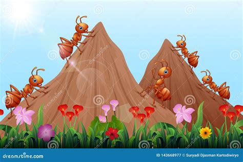 Cartoon Ants Colony With Ant Hill Stock Vector Illustration Of Comic