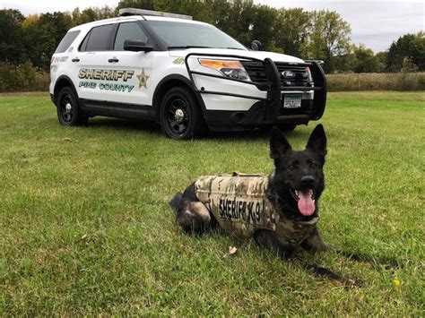 Pine Co. Sheriff's Office Retires K9 Chewy