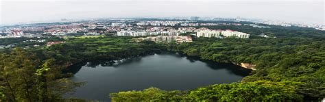 National Parks Board (NParks)