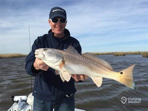 Best Times & Seasons to Fish in Louisiana (Complete Guide) - Freshwater ...