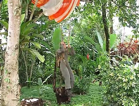 Edu Boxer Gay Porn Videos Porn Star Sex Scenes Xhamster