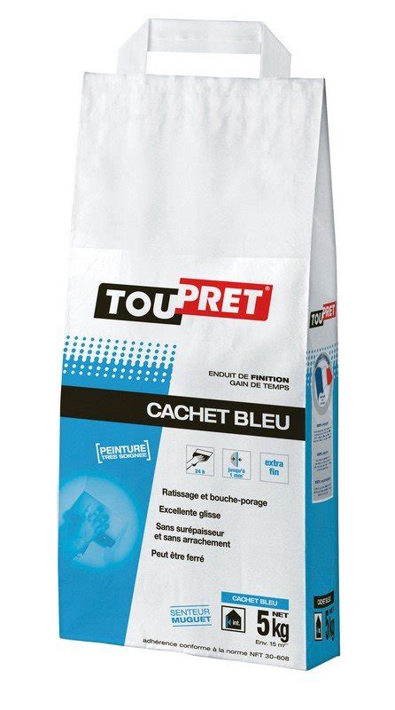 CACHET BLEU NFE POUDRE 5 KG ENDUIT DE FINITION GAIN DE TEMPS