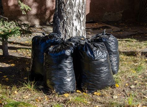 Jak przyśpieszyć kompostowanie Zalety drożdży w kompoście i przepis na