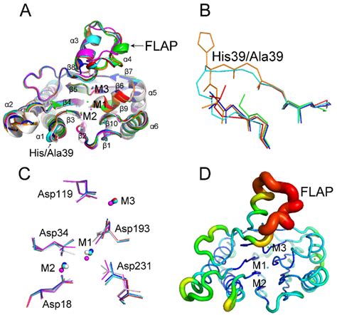 Catalysts | Special Issue : Enzyme Catalysis