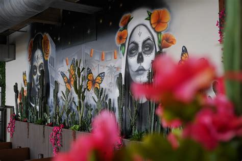 Mexican Oak | Experience Authentic Flavors