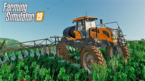 ERVAS DANINHA ATACARAM MINHA SOJA SUL DO BRASIL FARMING SIMULATOR