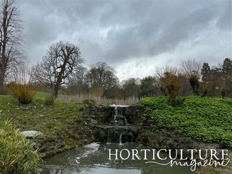 These Japanese Gardens, Designed At Gatton Park In 1909, Were Lost For ...