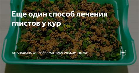 Еще один способ лечения глистов у кур | КУРОВОДСТВО ДЛЯ ЧАЙНИКОВ ...