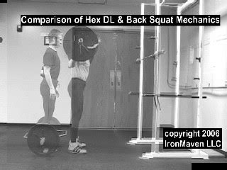 Hex Bar DL vs Squat Mechanics