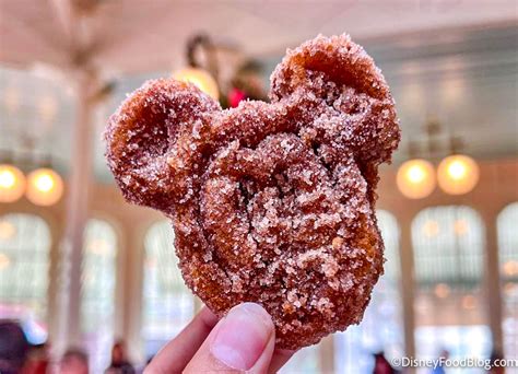 Guide To Churros And EVERY Place To Get Them In Disney World Disney