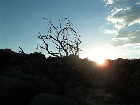 Watson Lake Sunset | Lake sunset, Sunset, Lake