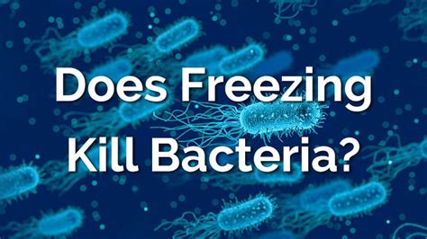 Does Freezing Really Kill Bacteria? - What the Science Says ...