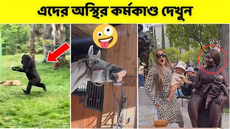 এদের কান্ড কারখানা দেখলে না হেসে থাকা যায় না 🤣 Youtube