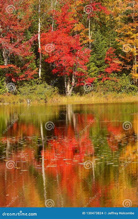 Fall Colors Along the Androscoggin River in Milan, New Hampshire Stock ...