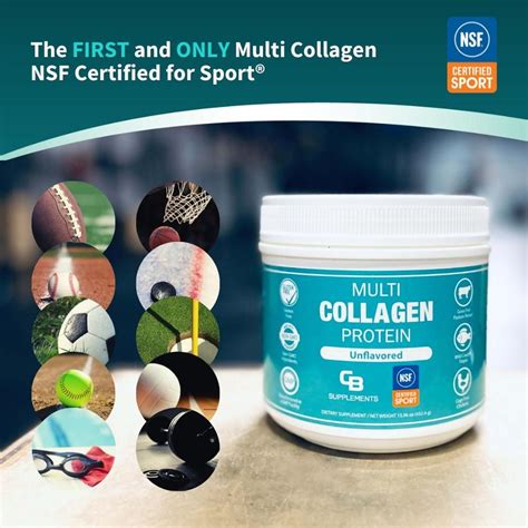 Unflavored NSF Certified Multi Collagen Protein Powder Peptides