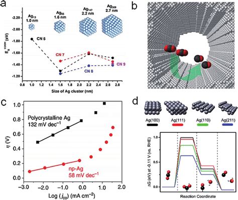 A Dft Calculation Results On The Binding Energies Of Cooh