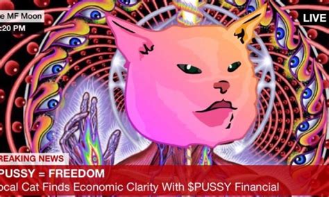 What Is Pussy Financial PUSSY Memecoin Cat On Ethereum Network