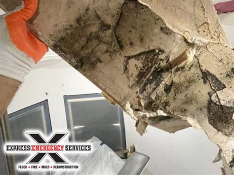 Property Damage Repair | Professional Service