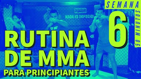 Entrenamiento De MMA Para Principiantes En Casa Semana 6 Como