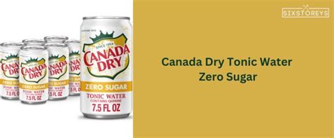 15 Best Canada Dry Flavors of 2025 [Your Thirst's New BFFs]