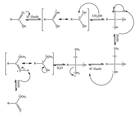 Esterification Mechanism with 0% Ni/Zeolite Catalyst. Esterification... | Download Scientific ...