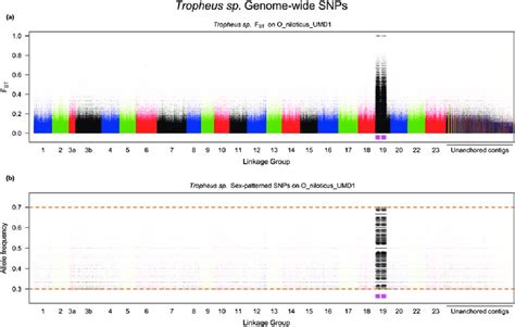 A Genome Wide Scan For Tropheus Sp Black Evaluating A F St And B