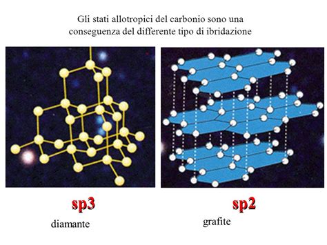 Gli Elementi I Sistemi Biologici Concentrano Certi Elementi E Ne