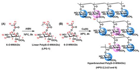 Polymers Free Full Text Facile One Pot Synthesis Of Hyperbranched