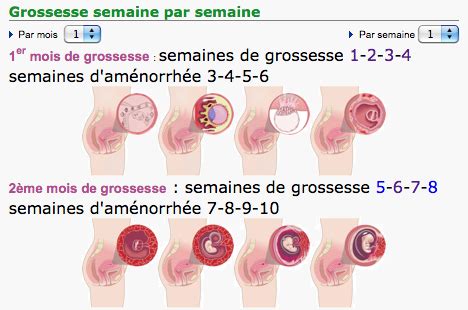 Grossesse semaine par semaine - Le Bon Plan