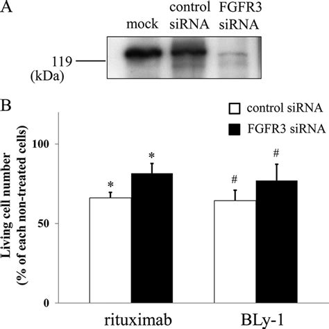 Inhibition Of Fgfr Expression Down Regulates Rituximab Dependent