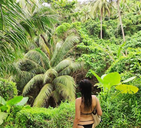 Premium Photo Rear View Of Woman In Bikini Standing Against Trees