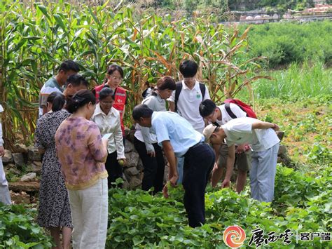 广西大学农学院博士团实践队赴马山县开展暑期社会实践活动 广西大学