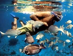 Asterix Isla Contoy Snorkeling | Snorkeling Tours | Cancun Snorkeling