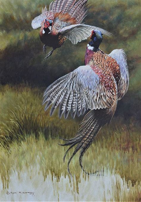 Pheasants Fighting Painting By Alan M Hunt Fine Art America