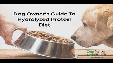 O Que Significa Hidrolisado - O que significa hidrolisado na comida para cães - Explicado