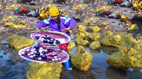 A Huge Clam Appeared In The Rapids And The Girl Discovered A Treasure