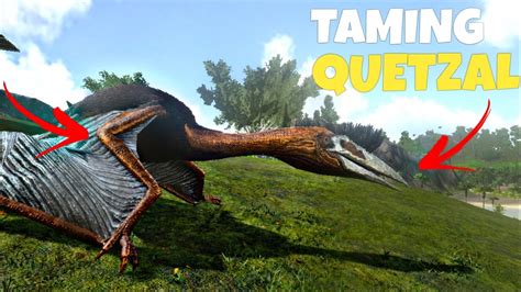 Ark Mobile Taming High Level Quetzal Ark Mobile Solo Series Ep