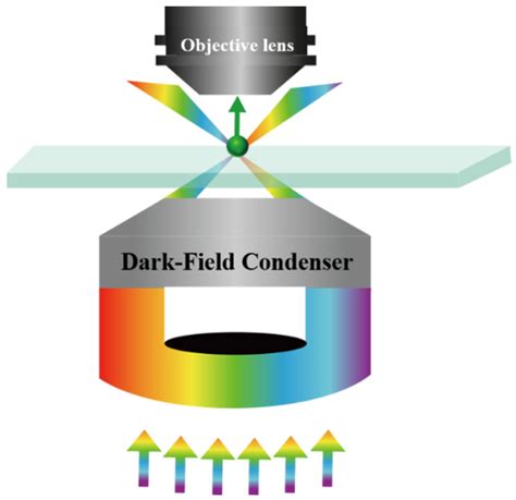 Single Particle Measurements Of Nanocatalysis With Dark Field Microscopy