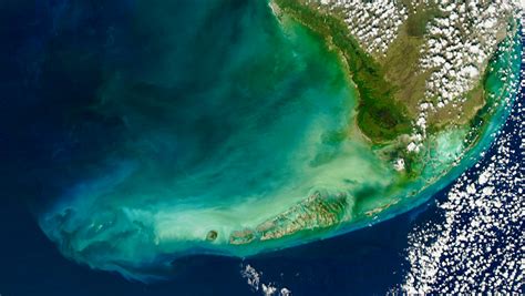 Seventy percent of Florida’s coral reefs are eroding, new study finds