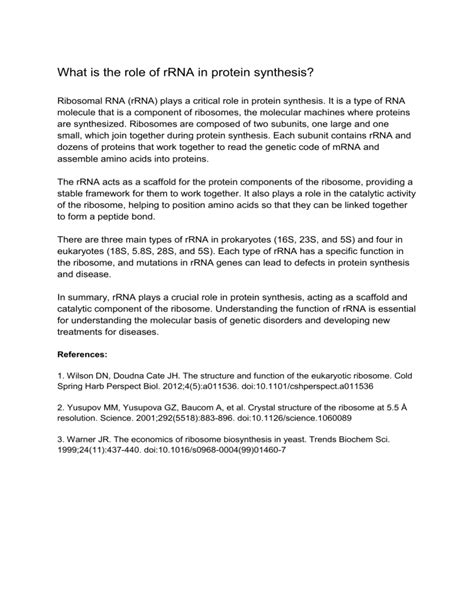 What is the role of rRNA in protein synthesis