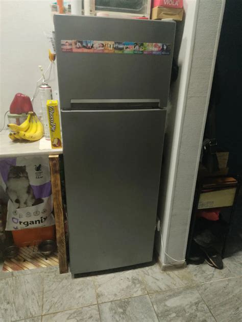 Холодильник Beko RDSK240M00W (RDSK240M00S, RDSK240M20S, RDSK240M20W ...
