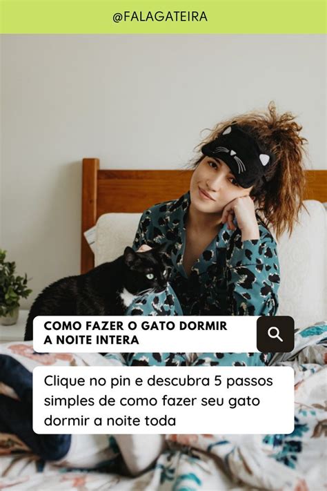 Como Fazer O Gato Dormir A Noite Inteira Gato Dormindo Cuidados