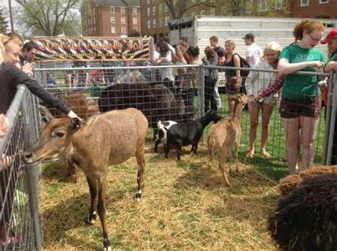 Exotic Animal Mobile Traveling Petting Zoo in Ohio | Jungle Island Zoo