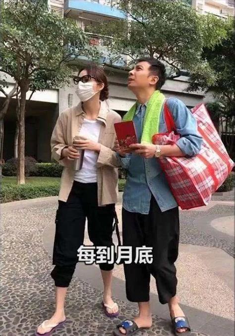 言真冼燕坚个人资料（郑建鹏和言真176套房） 尚淘福