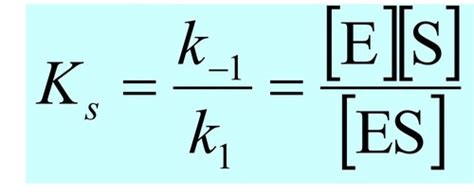 Enzyme Kinetics Ii Flashcards Quizlet