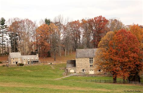 The Mares Tales Gypsy Mare Studios Chester County Fall